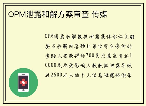 OPM泄露和解方案审查 传媒